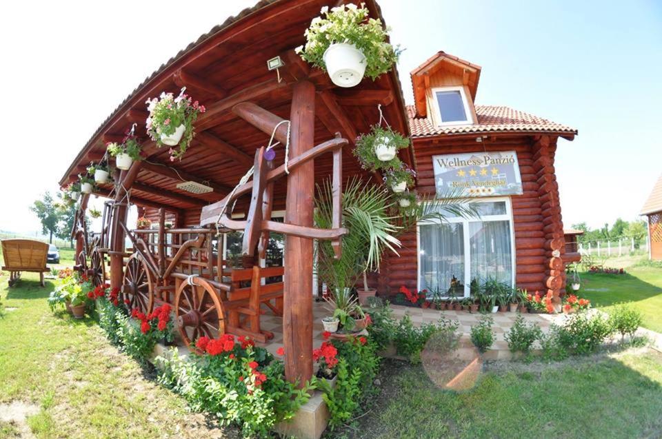 Roenk-Wellness Panzio Mezopeterd Bed & Breakfast Exterior photo