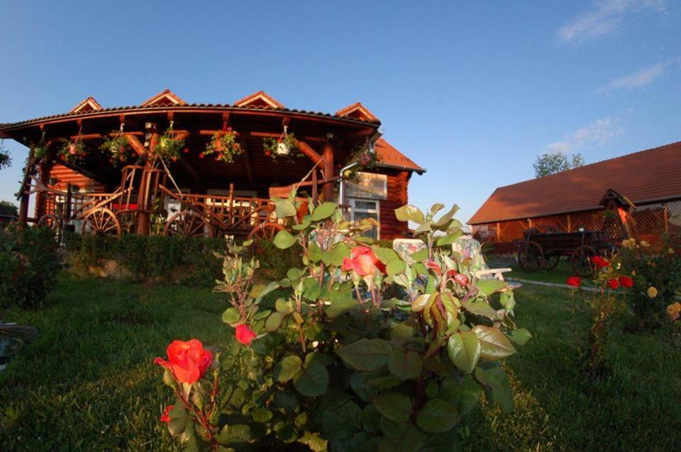 Roenk-Wellness Panzio Mezopeterd Bed & Breakfast Exterior photo
